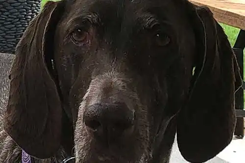 Lucy | Owner: John H Lucy | Owner: John H