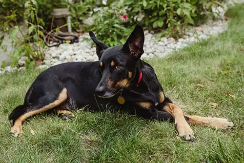 River | Owner: Ethan River | Owner: Ethan